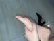 Foto privada de lady_lussuria03
